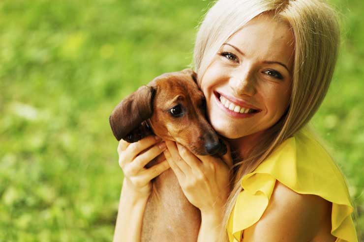 Main Aspects of Proper Pet Care