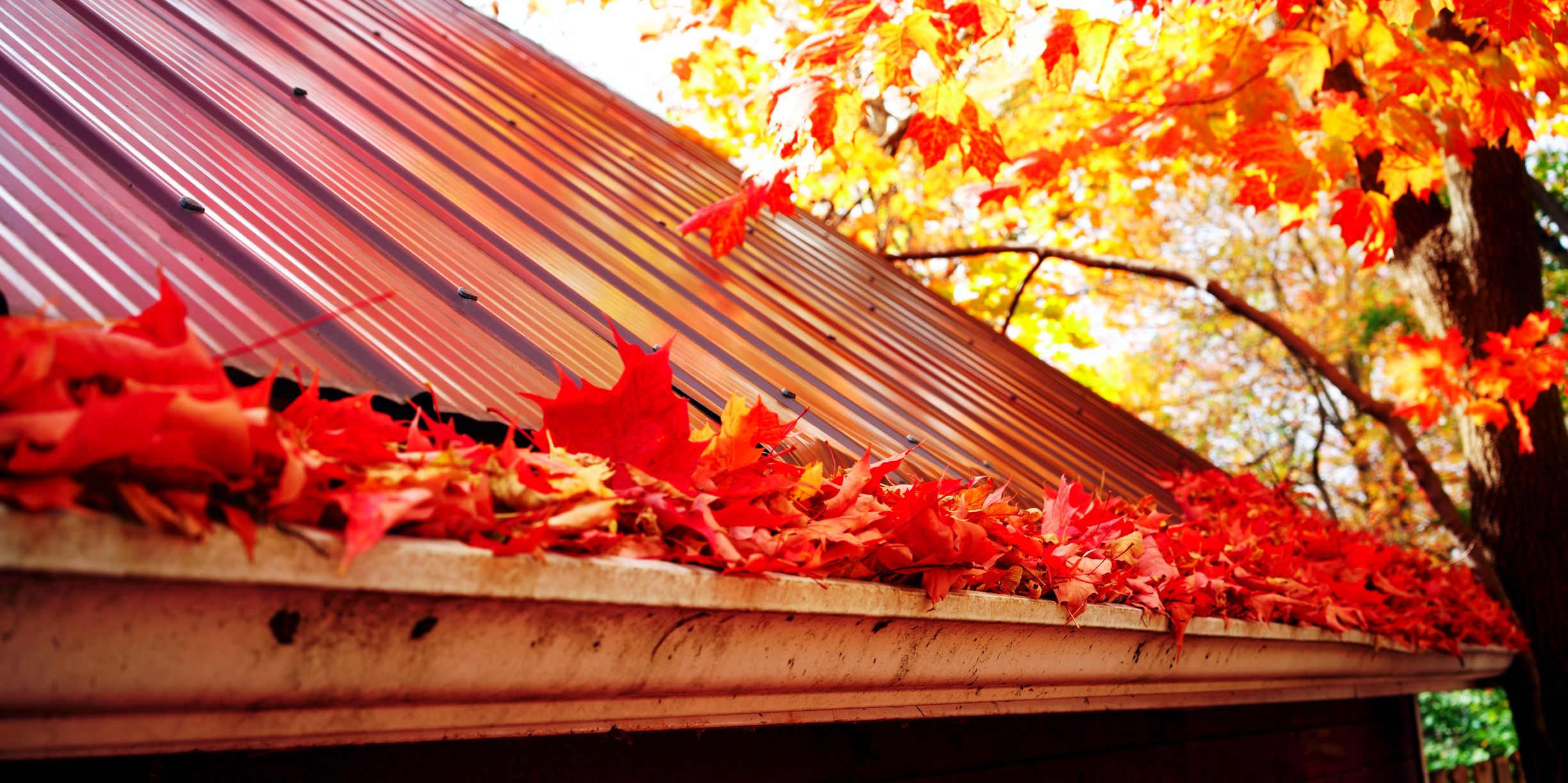 driveway cleaning colchester