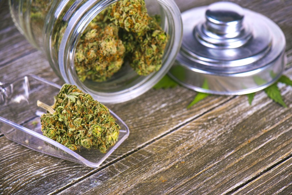 Understand these marijuana for medicinal purposes